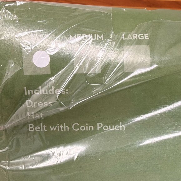 Lady Robin Hood Costume Dress Hat Belt Coin Pouch Womens Small Halloween Cosplay - Picture 4 of 6